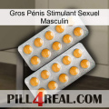 Gros Pénis Stimulant Sexuel Masculin levitra2